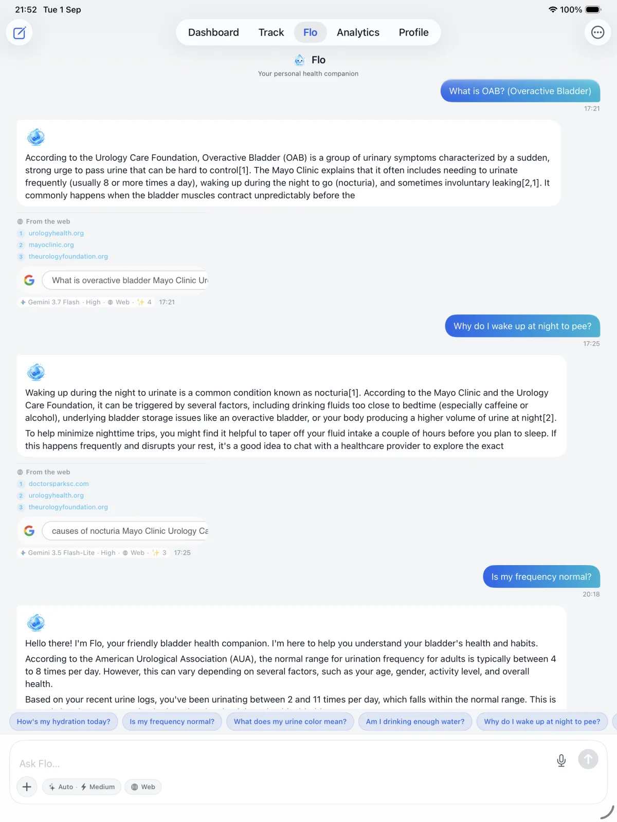 Fluen Ask Anything on iPad